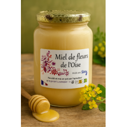 Miel de printemps - Colza